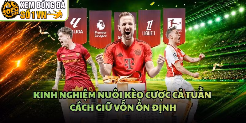 Kinh Nghiệm Nuôi Kèo Cược Cả Tuần – Cách Giữ Vốn Ổn Định