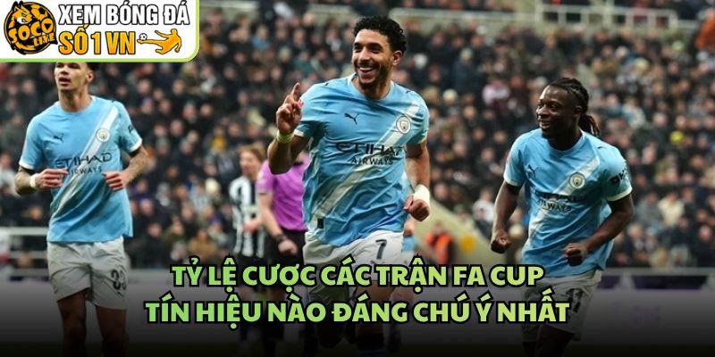 Tỷ Lệ Cược Các Trận FA Cup – Tín Hiệu Nào Đáng Chú Ý Nhất